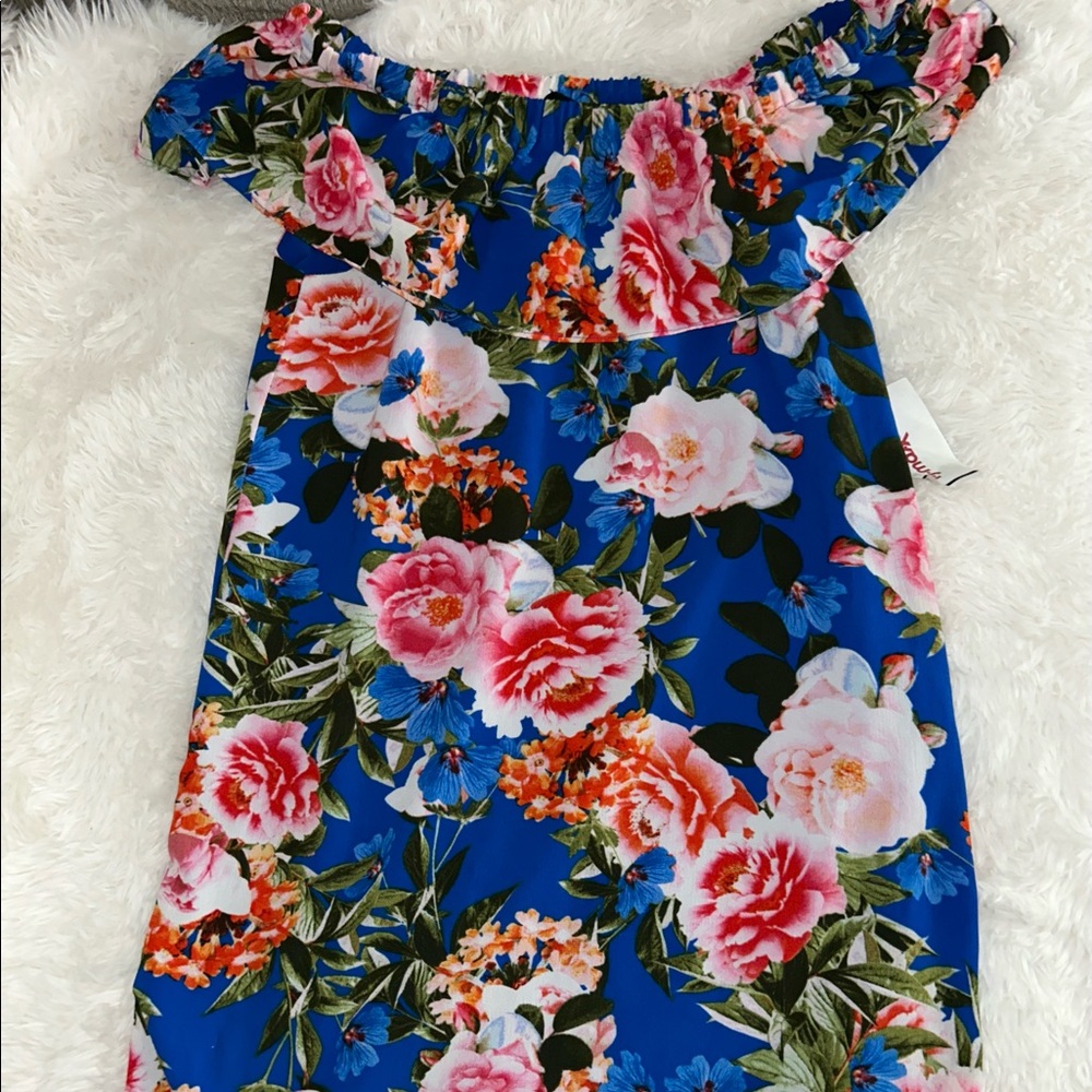 Laundry Dress